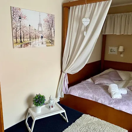 Zamecky Hotel Zlaty Orel Hranice  Exterior photo