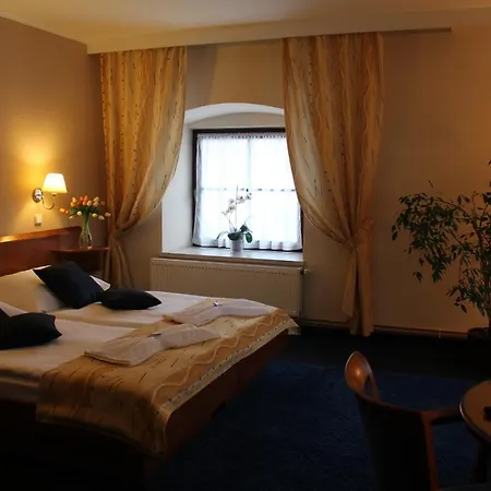 Zamecky Hotel Zlaty Orel Hranice  Exterior photo