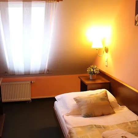 Zamecky Hotel Zlaty Orel Hranice  Exterior photo